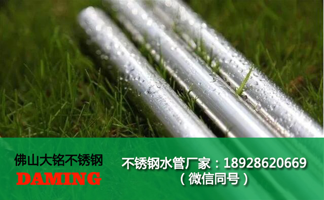 316L薄壁哔咔漫画网址水管