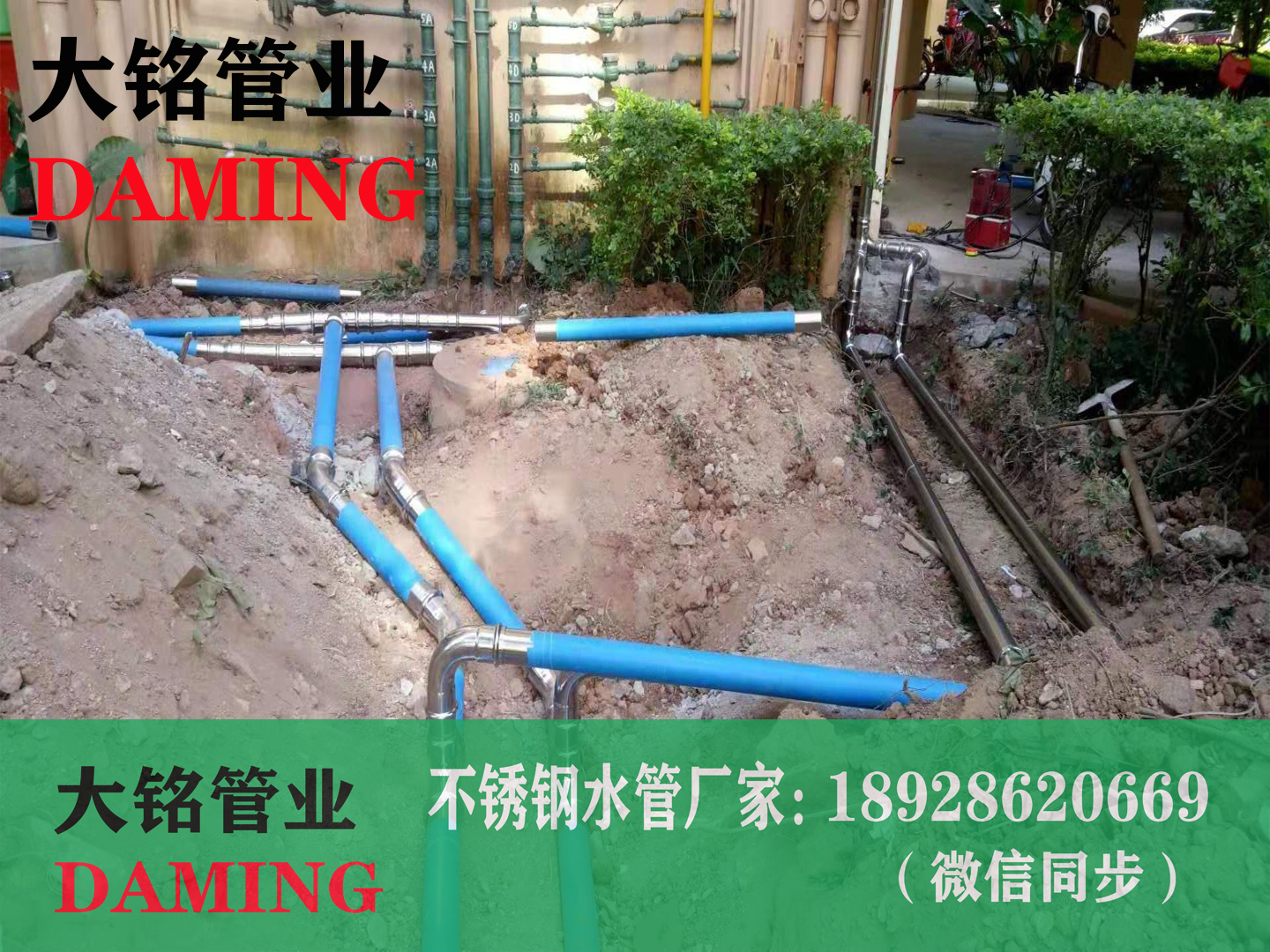 哔咔漫画网址卡壓彎頭